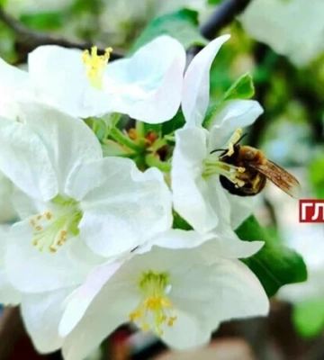 Прогноз погоди у Києві. Наскільки підійметься температура в столиці 14 травня, яка вірогідність дощу та коли в цей день була&amp;hellip;