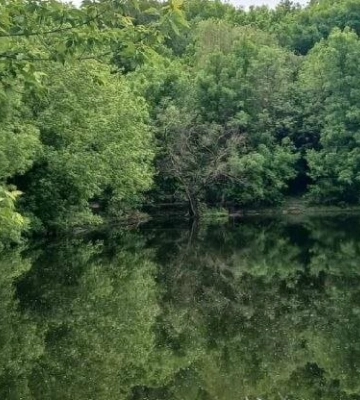 На Полтавщині прогнозують місцями грозу