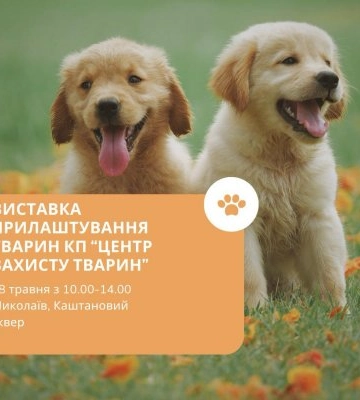 У Каштановому сквері Миколаєва проведуть виставку безпритульних тварин з Центру захисту