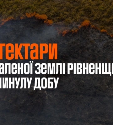 На Рівненщині за добу ліквідували сім пожеж на відкритих територіях