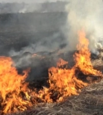 На Рівненщині за добу ліквідували сім пожеж на відкритих територіях