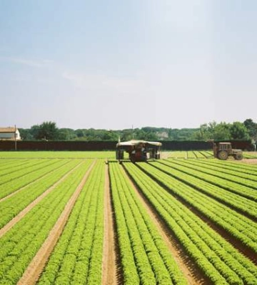 Торгівля сільськогосподарською продукцією ЄС: профіцит склав 39,2 мільярда євро