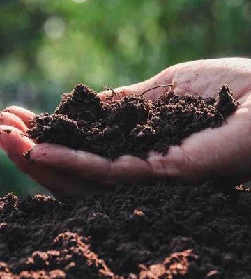 У Перечині товариство відшкодує 14,7 млн грн за забруднення ґрунтів