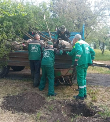 У двох одеських парках висадили молоді дерева 