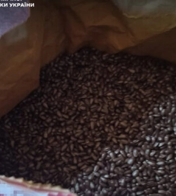 В Івано-Франківську викрили підпільний покерний клуб (ВІДЕО)