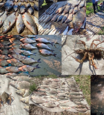 За квітень на Черкащині незаконно виловили 678 кілограмів риби