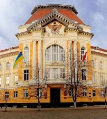 Закарпатський угорський інститут: мільйони до бюджету та якісна освіта для громади