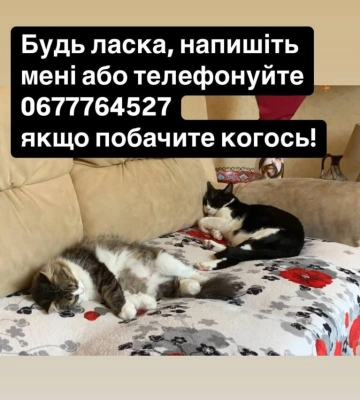 Під час атаки на Овідіополь загубилися домашні улюбленці директора Одеського зоопарку Ігоря Білякова