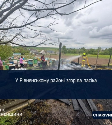 У Рівненському районі згоріла пасіка