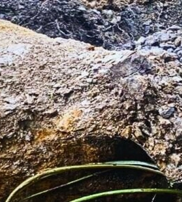 Бомба пролежала десятиліття: на Львівщині знищили небезпечну знахідку