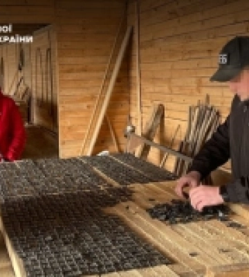 На Одещині за контрабанду лісоматеріалів перед судом постане директор деревообробного підприємства