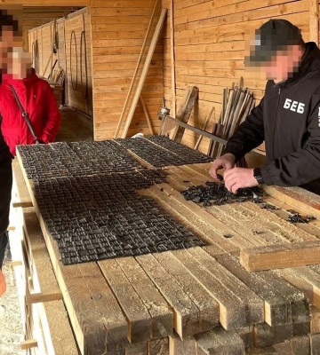 На Одещині за контрабанду лісоматеріалів перед судом постане директор деревообробного підприємства