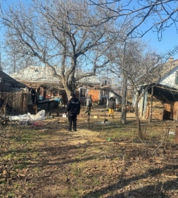 На Одещині суд виніс вирок молодику, який вбив собаку односельчанки, а тіло викинув у колодязь