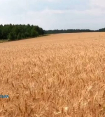 На Дніпропетровщині громадам повернуто понад 18 тис га сільгоспземель