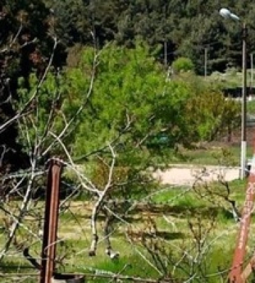 Захватчики вывезли военную технику из воинской части в оккупированном Севастополе