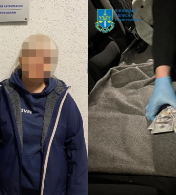 16 тысяч долларов за незаконное пересечение границы с Молдовой — в Виннице разоблачили учительницу лицея