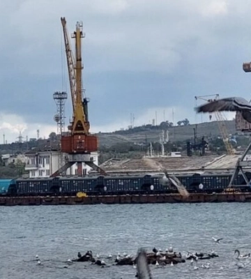 Капітана іноземного судна звинувачують у вивезенні українського зерна через окупований Крим