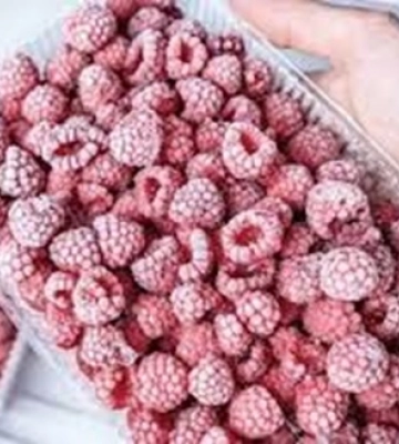 Україна може очолити світовий ринок замороженої малини на тлі кризи в Сербії та Польщі Україна може очолити світовий ринок замороженої малини на тлі кризи в Сербії та Польщі