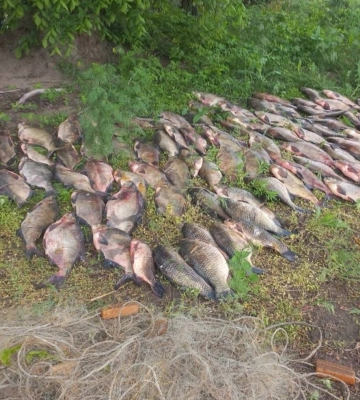 На Черкащині чоловік незаконно наловив риби на понад 134 тисячі гривень