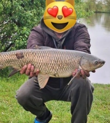 На Рівненщині чоловік спіймав велетенського амура 