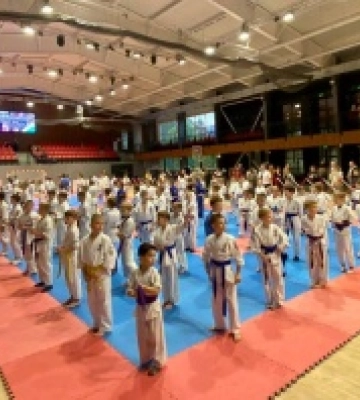 Відкритий Чемпіонат Київської області з Кудо