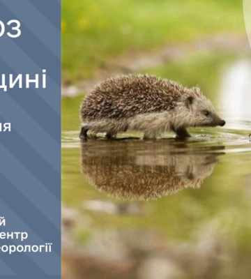 Не ховайте парасолі! Цими днями на Рівненщині все ще дощитиме