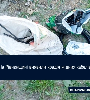 На Рівненщині виявили крадія мідних кабелів