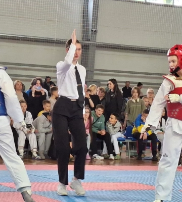 У Полтаві відбувся Кубок Чемпіонів із тхеквондо