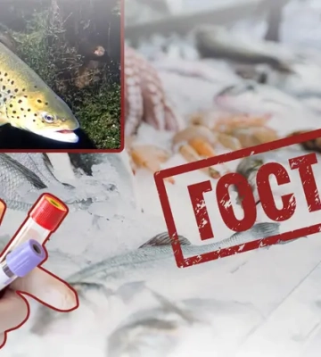 Відомий столичний забудовник радить українцям переходити з форелі на мойву Відомий столичний забудовник радить українцям переходити з форелі на мойву