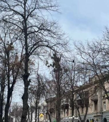 На Полтавщині прогнозують дощ