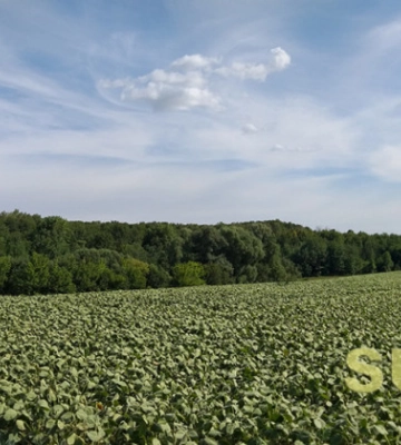 На Київщині аграрії не поділили земельну ділянку — конфлікт закінчився пошкодженою технікою