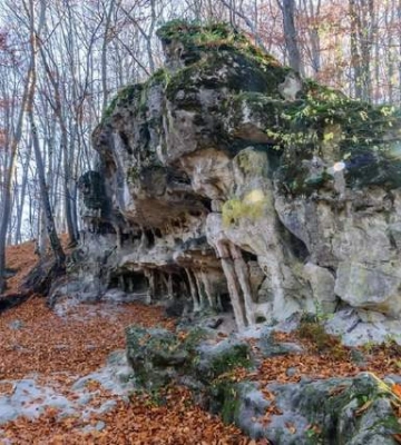 Ніби декорації з фільму жахів: де побачити містичну локацію біля Львова Ніби декорації з фільму жахів: де побачити містичну локацію біля Львова