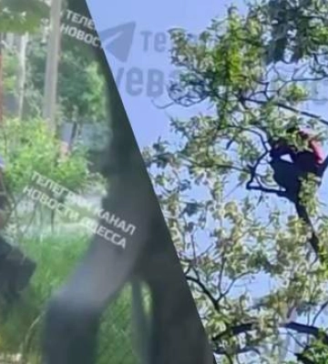 Ухилявся від ТЦК і заліз на дерево: одесит застряг на висоті п’ятого поверху (ФОТО)
