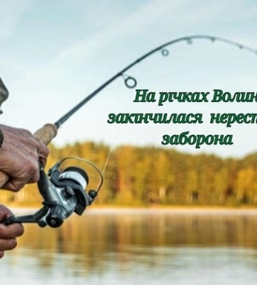 Можна рибалити: на річках Волині завершилась нерестова заборона