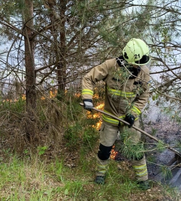 На Волині невідомі підпалили сухотрав&#039;я та чагарники