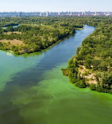 Хто забруднює річку Дніпро в Києві — і як зупинити екологічну катастрофу