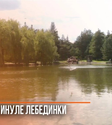 Від болота до улюбленого парку рівнян: як змінилася «Лебединка» за 50 років (ВІДЕО)