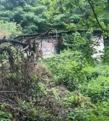 Прокуратура зобов’язала товариство повернути громаді Києва земельну ділянку