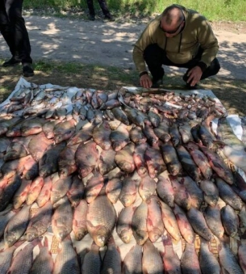 Свіжа риба – великі проблеми: на Полтавщині Держекоінспекція викрила браконьєра з уловом на 374 тисячі гривень