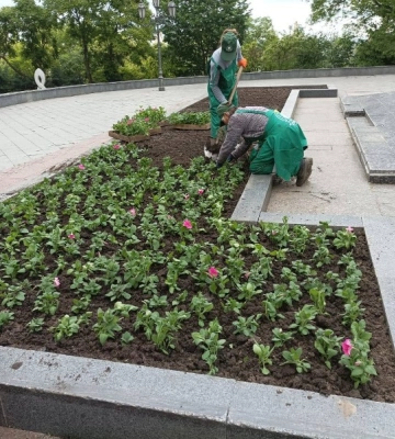 В Одесі висадять 350 тисяч літніх квітів