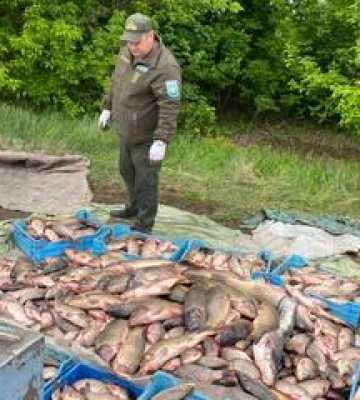 Майже два мільйони збитків: на Полтавщині знову викрили браконьєрів