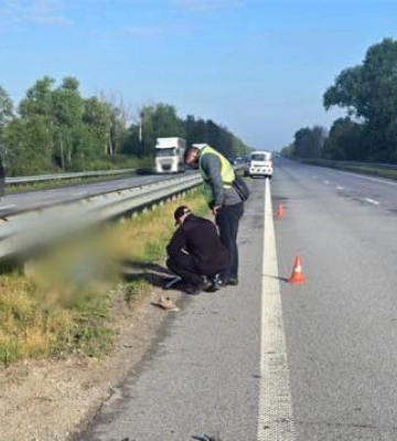 Збив чоловіка та втік з місця події: поліцейські затримали підозрюваного у смертельному ДТП на Житомирщині