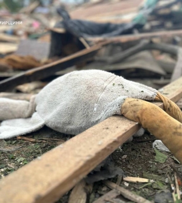 На Житомирщині та Херсонщині російські удари вбили чотирьох дітей