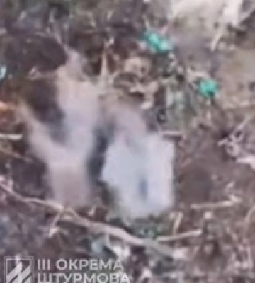 Пилоты Третьей штурмовой зачистили силы россиян на Харьковщине
