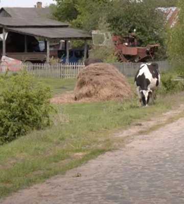 «Весілля не було давно»: як на межі двох областей живе волинське село Майдан-Липненський