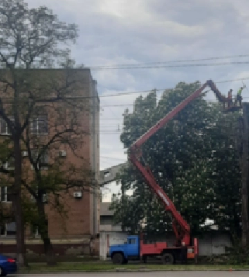 У Полтаві спиляють сотню дерев: це викликало занепокоєння