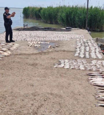 Двох ізмаїльців викрили у браконьєрстві на озері Катлабуг