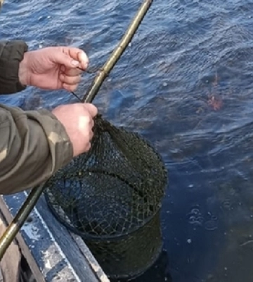 На Волині чоловік робить унікальні кошики з дерева за старовинною технологією (відео)
