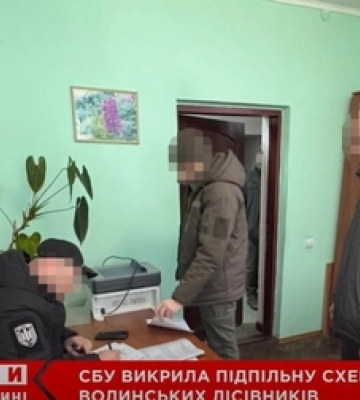 Волинських лісівників судитимуть за дозвіл на рубку 325 здорових дерев
