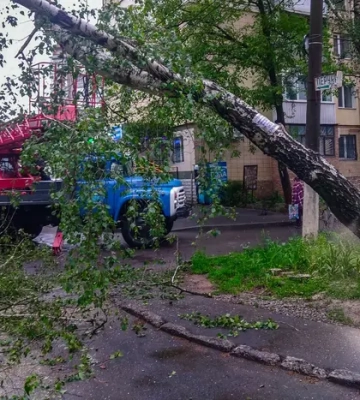Підтоплені приміщення і повалені дерева: наслідки негоди на Вінниччині 